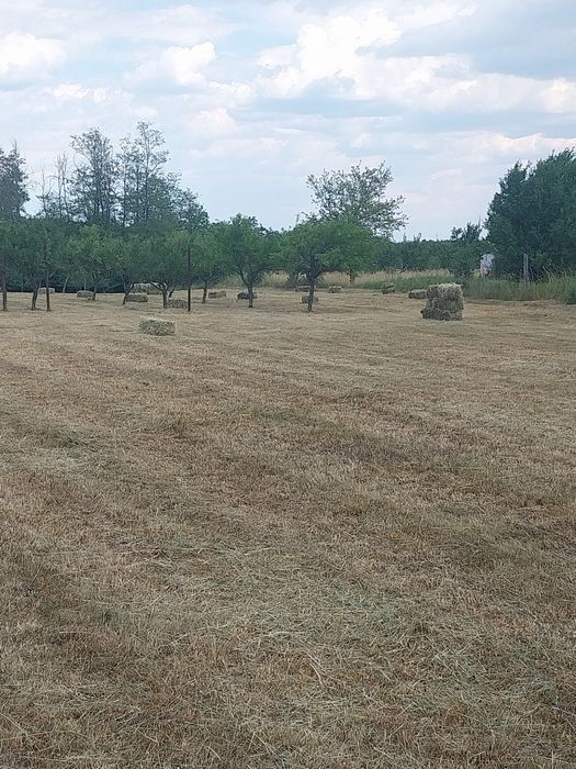 Vând baloti de fân de grădină