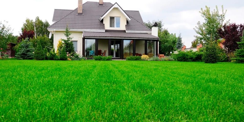 Стрижка газона Газон ориш хизмати