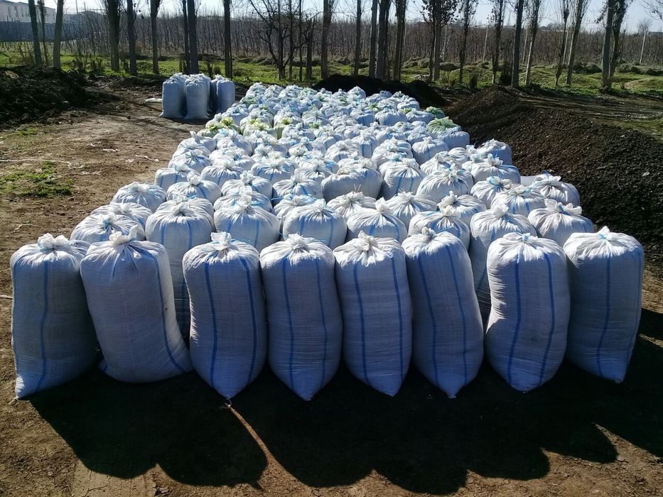 Biogomus Toshkent dastavka