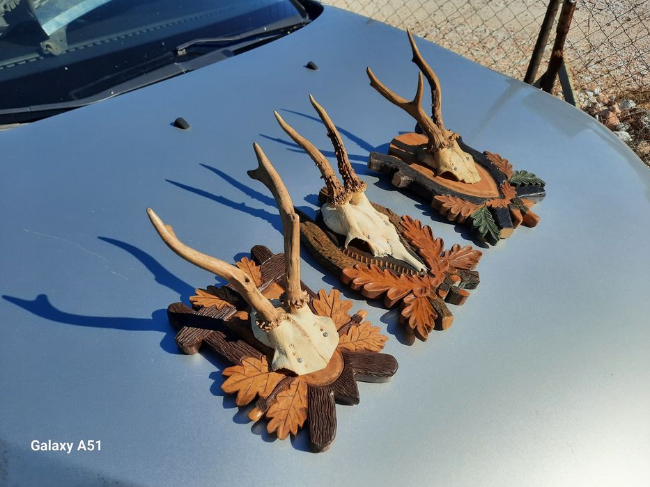 Елински рога. Трофей