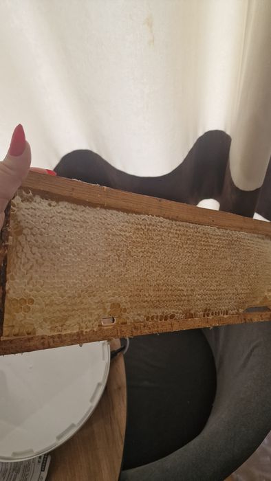 Продам Мед в рамках