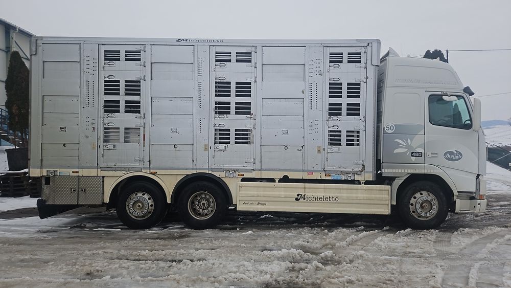 Transport animale vii