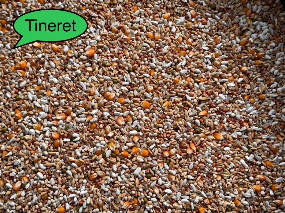Mancare porumbei / amestec porumbei / amestec cereale