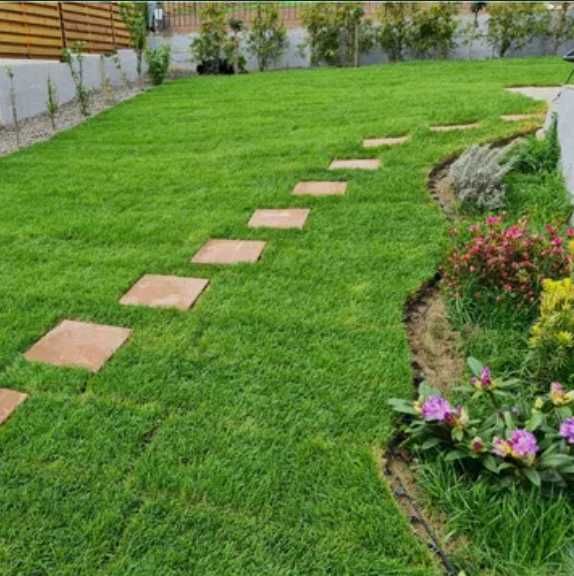 Gazon Natural Verde Intens pentru Curți Moderne