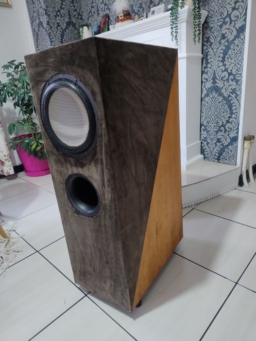Accuton C220-T6 woofer