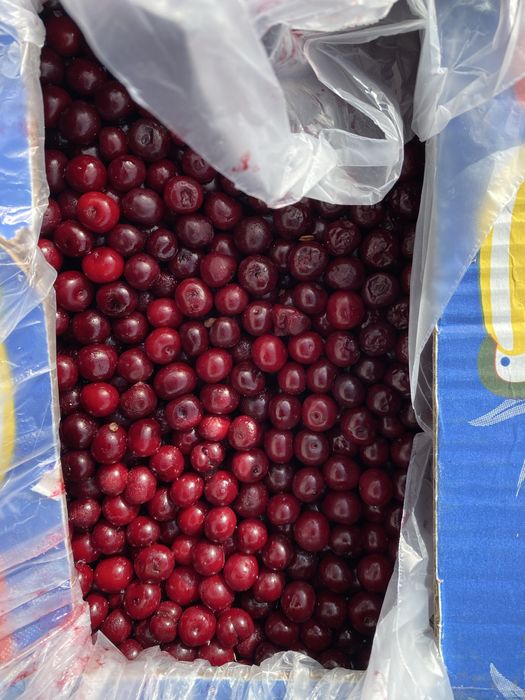 Ягода замороженная