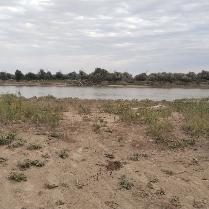 Земельный участок