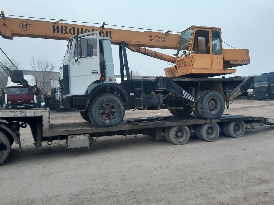 Услуга трал цена дог