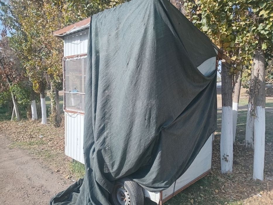 Tayyor biznes butka sotiladi