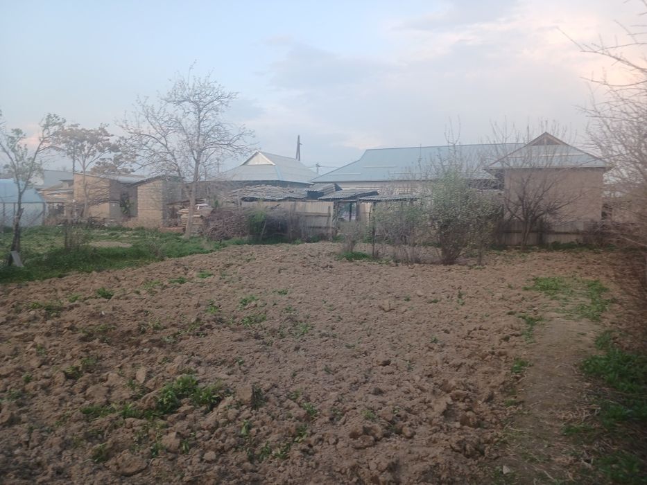 Продаётся дом в Сырдарье