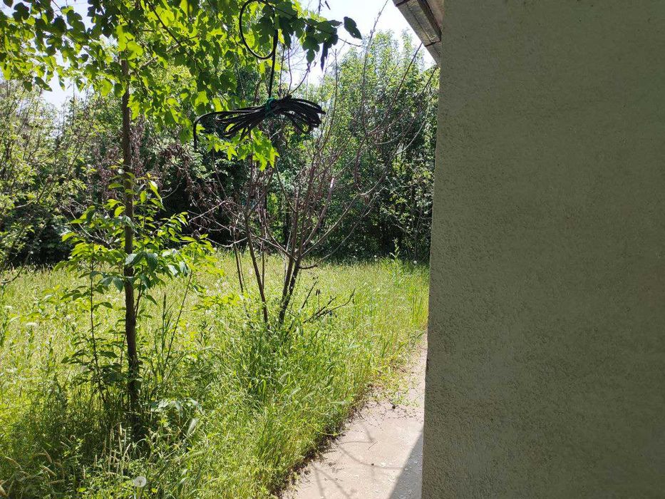 Дача.на таш море.