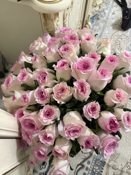 51штук голландские розы