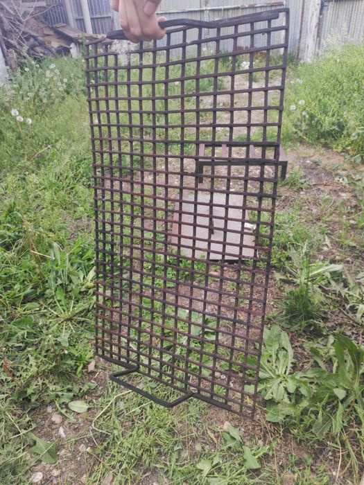 коктальница в отличном состоянии