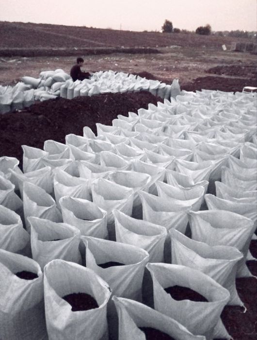 BIOGUMUS (бИОГУМУС) tabiy o'g'it