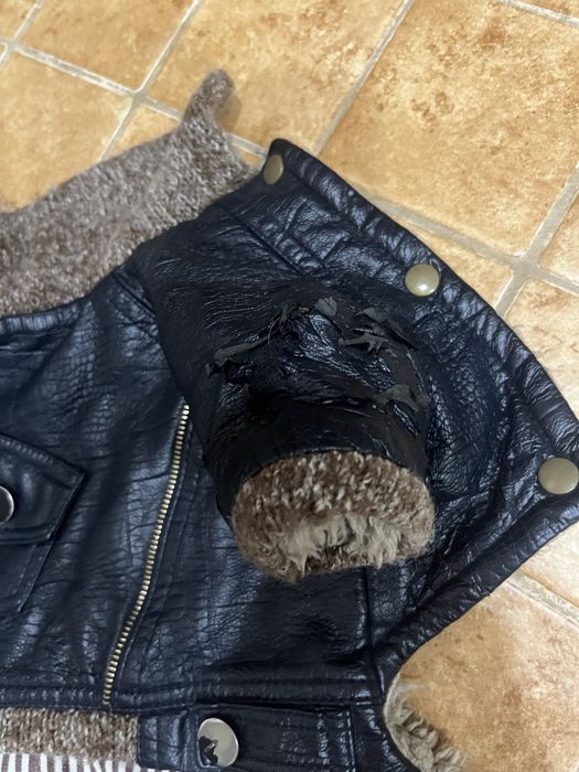 Одежда для собак