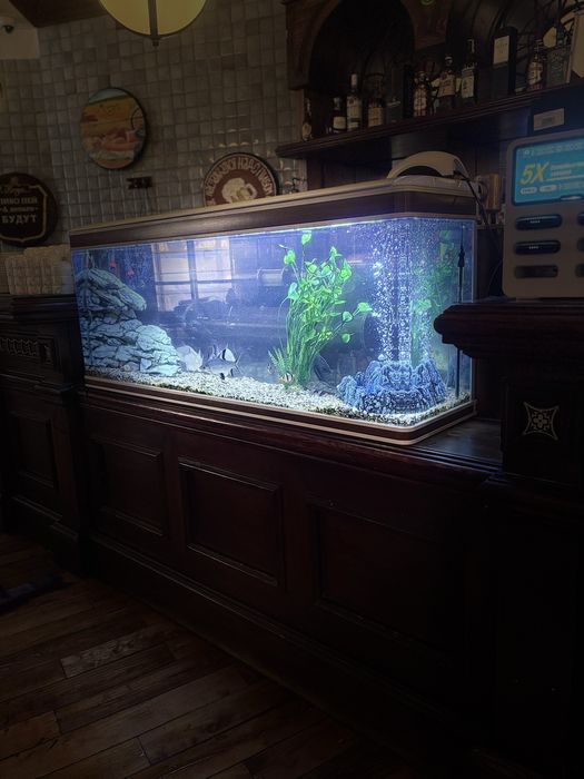 Чистка аквариумов