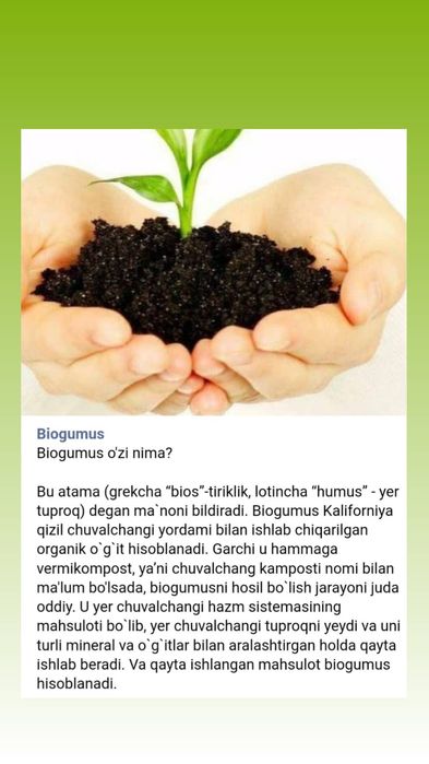 BIOGUMUS va KOLIFORNIYA QIZIL chuvalchangi sotiladi