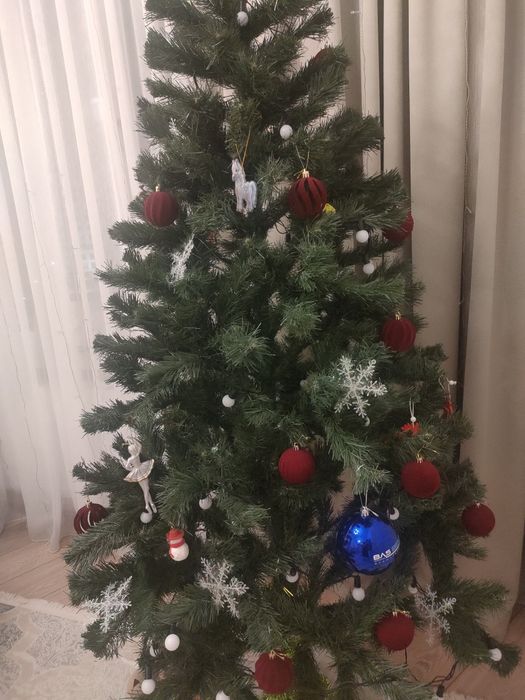 Зеленая елка новогодняя