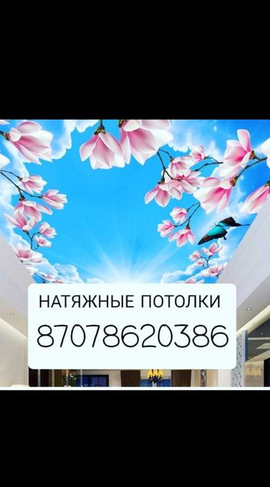 натяжнои потлок.