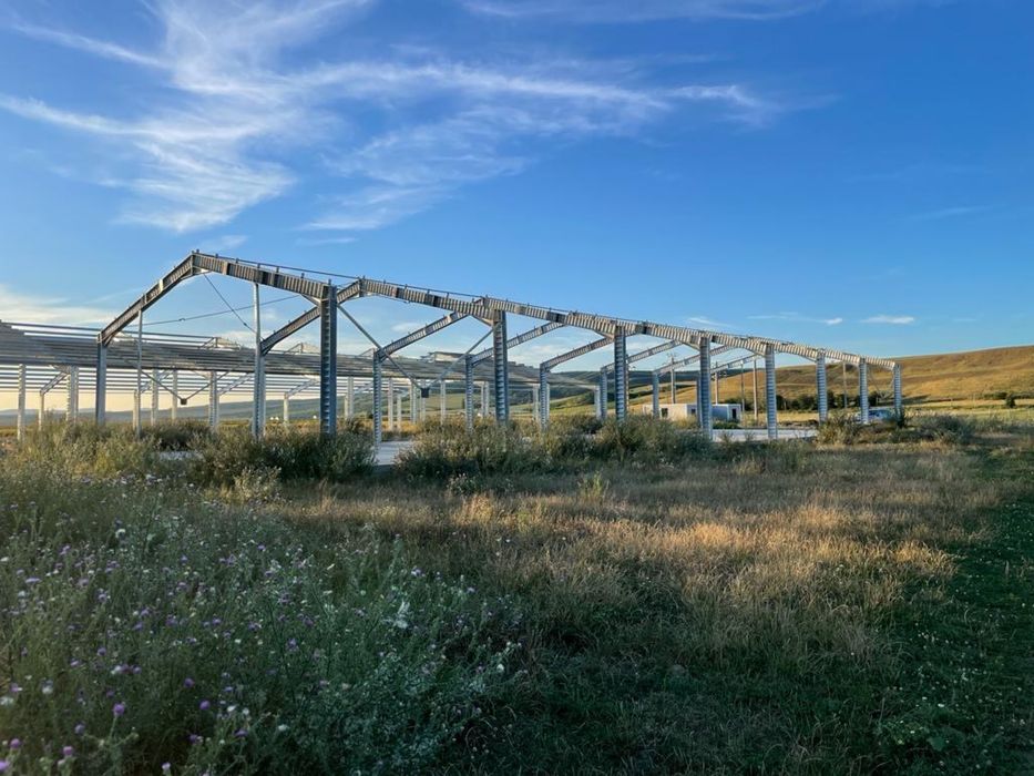 Vând structura stoc sau construiesc hala