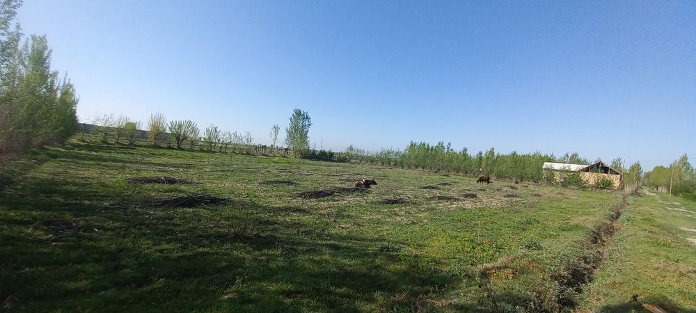 Srochni yer sotiladi