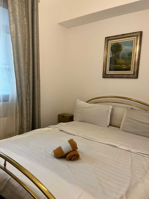 Apartament Regim Hotelier Central