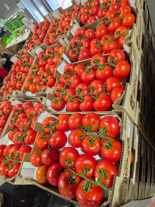 Дава се под наем Магазин в Варна, Погреби - 140 кв.м за 612.51 € - Снимка #7