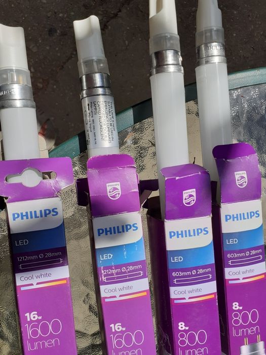 Neoane de vânzare  pe led.⁹