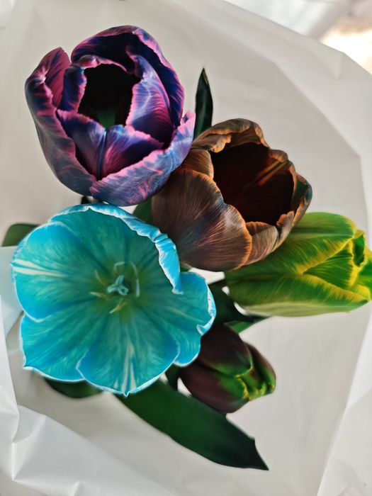 Тюльпаны в розницу