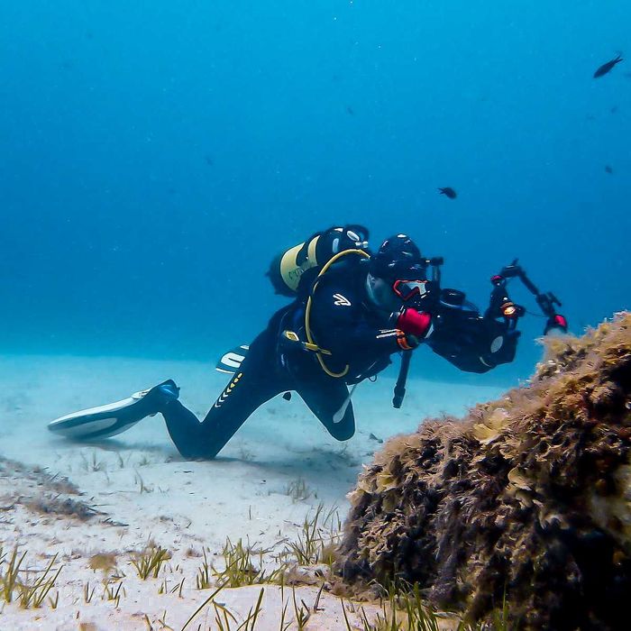 Водолазна жилетка BCD Cressi