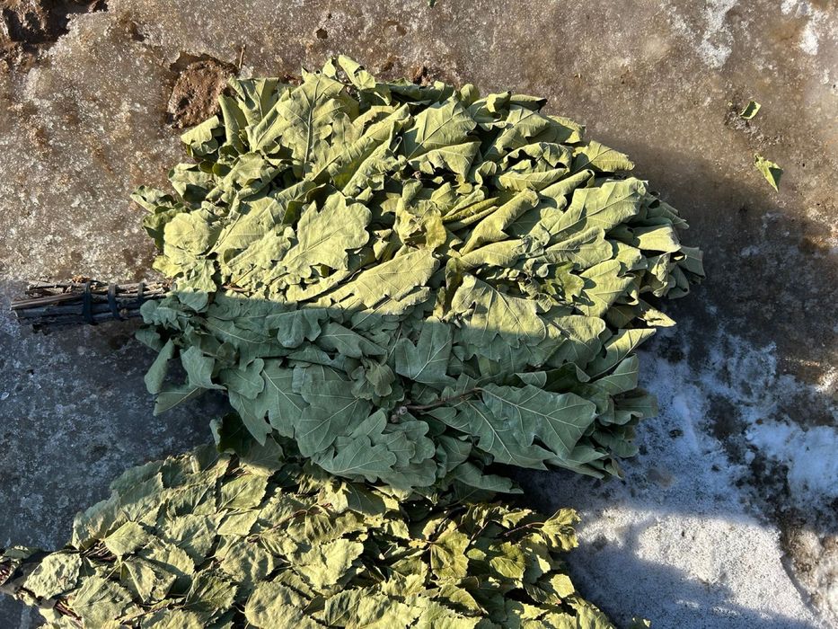 Продаются веники для бани