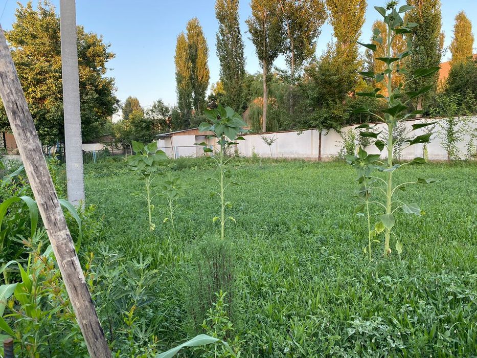 Срочно продаётся жилой дом. 24 соток