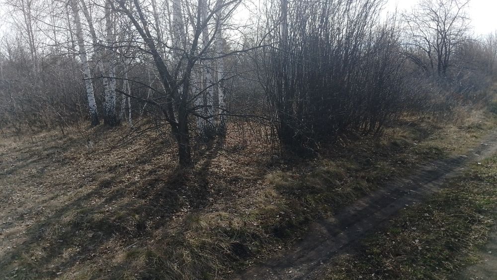В продаже дачный участок "Тихая Роща"