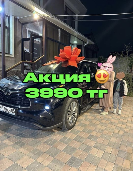 Бантик на машину, бант, подарочный бант для авто, в аренду, на продажу