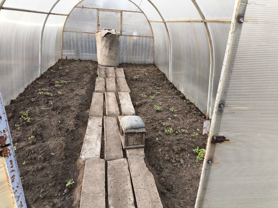 Продам дачу в обществе "Геолог"