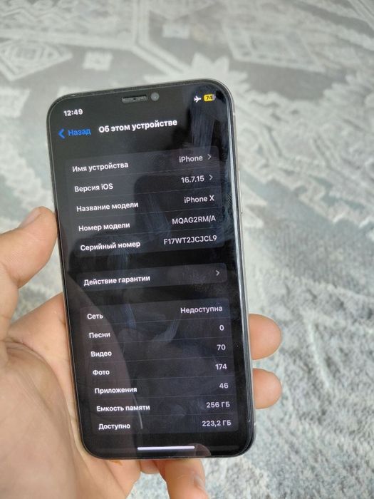 iPhone X 256/100%