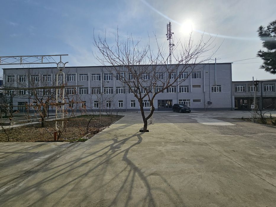 Аренда, Ижарага бинодан жой берилади