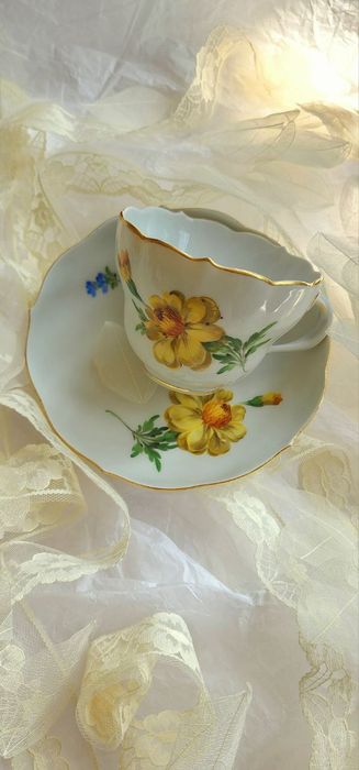 Чайная пара MEISSEN