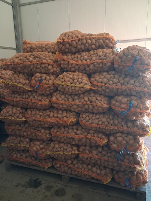 Cartofi samanta alb si rosu