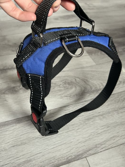 Шлейка доя собак