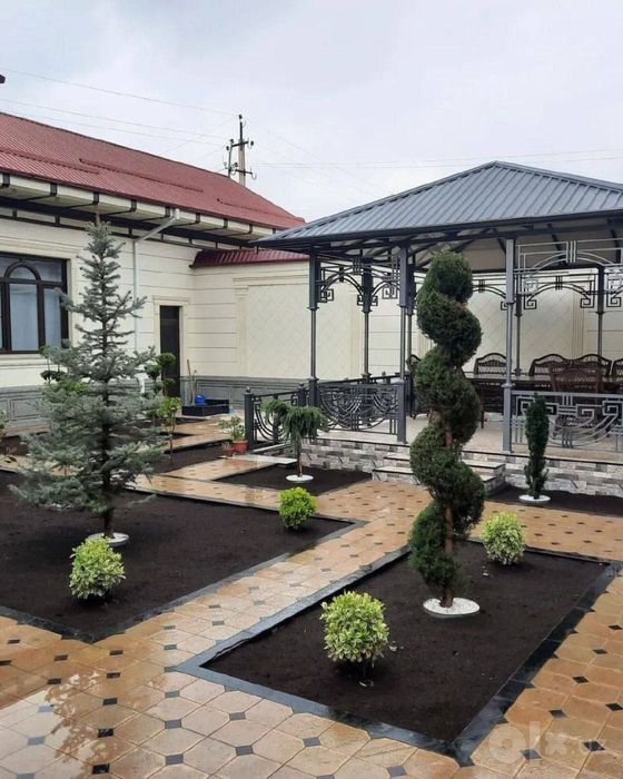 Gazon xizmati tayyor gazon rulon, archa, darat, gul, avtopolif sistema