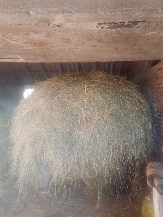 Vind FIN .de anul 2025