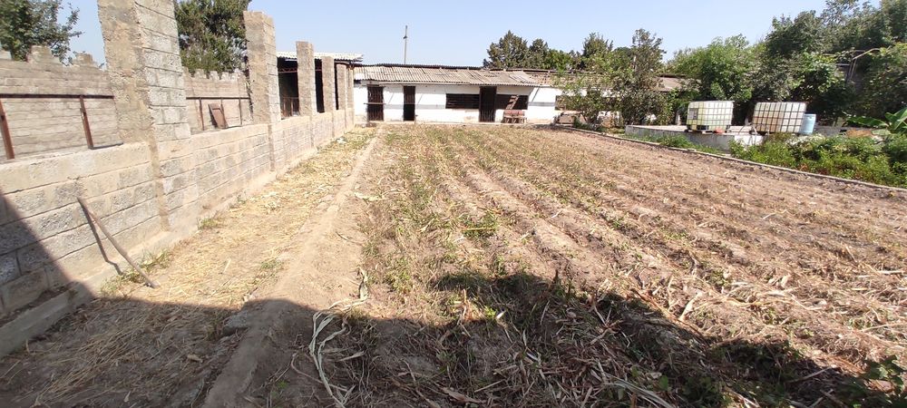 10 сотих участка сотилади ортасарой