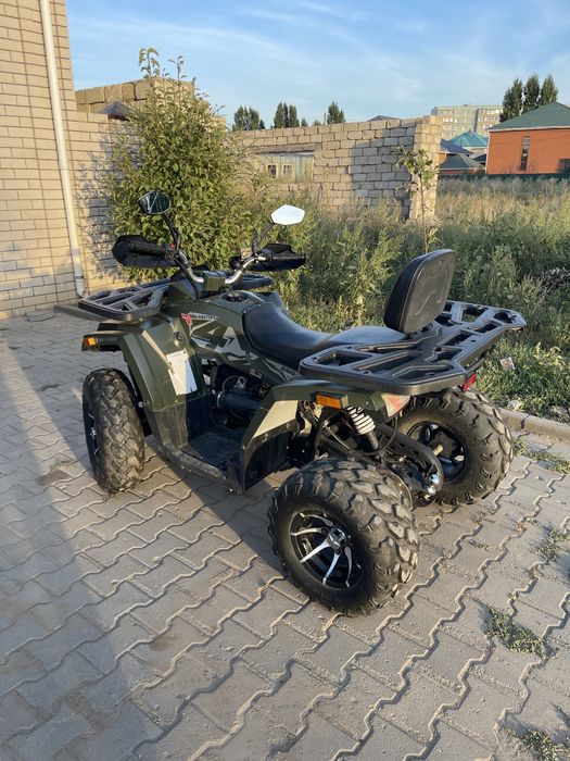 Квадроцикл Tao Motor MaxCruiser 250