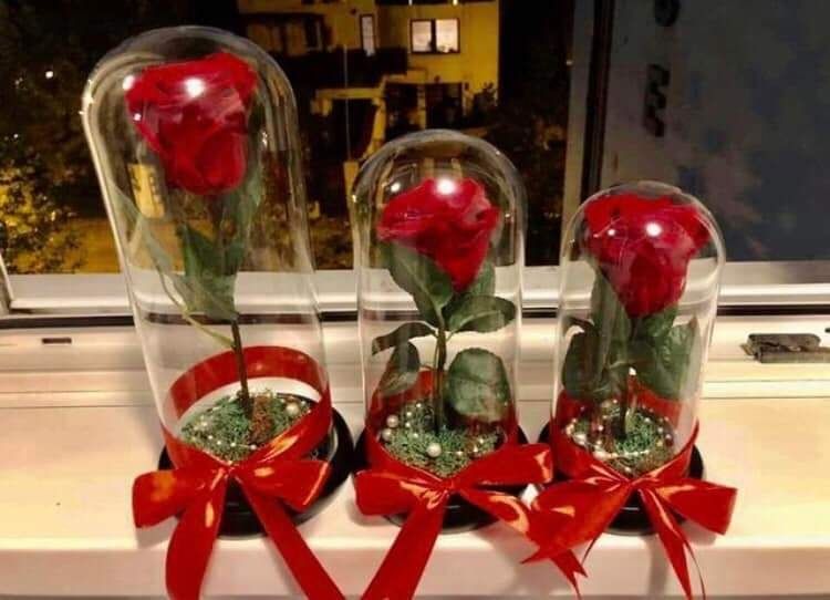 Cupola sticla cu trandafir criogenat