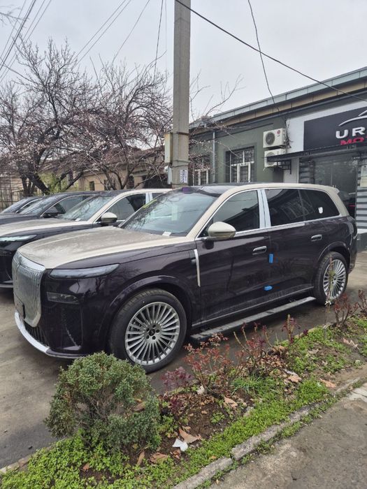 Voyah Taishan Max plus