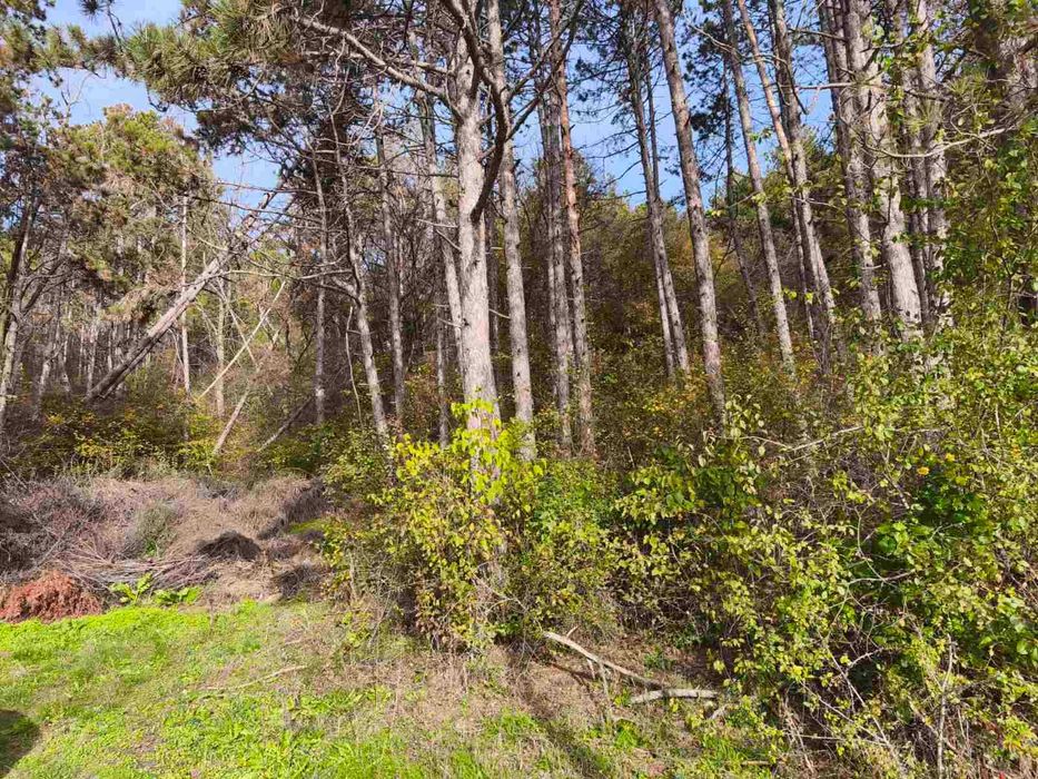 Парцел Виница, Варна