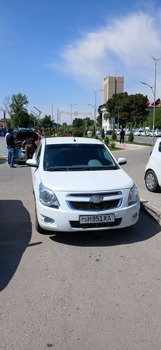 Srochna koblt sotiladi yili 2023