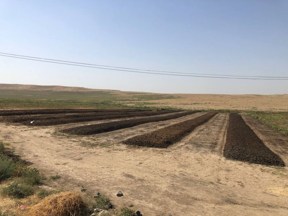 Biogomus mahsuloti. Qancha hohlasela shuncha bor.