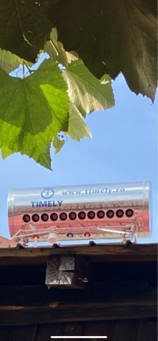 Instalator sanitare-termice si de gaze